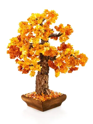 Декоративное денежное дерево с натуральным янтарём в интернет-магазине  янтаря