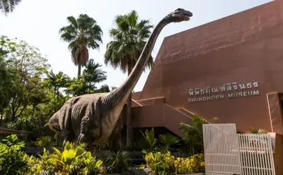 Таиланд открывает туристам путь в эпоху динозавров и гигантских деревьев |  Ассоциация Туроператоров