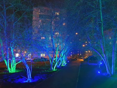 В красноярском сквере-цветнике на Ладо Кецховели сделали декоративную  подсветку деревьев — Новости 7 канала, Красноярск