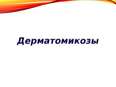 Всеволожский район – лидер в Ленинградской области по количеству  конехозяйств и поголовью лошадей.