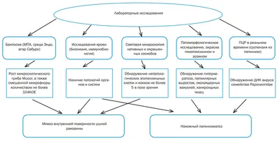 Нужна помощь! Если не найти деньги на лечение, лошадь отправят на бойню