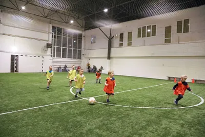 Чемпионика Отрадное