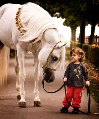 Идеи для детской фотосессии верхом на лошади | Animals, Horses, Russians