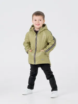 Детские осенние весенние куртки для мальчиков купить в интернет магазине |  Emson (Карон)
