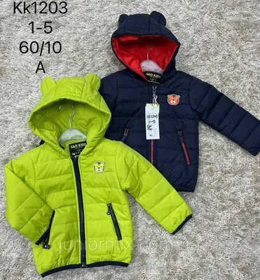 Детские весенние куртки для мальчиков оптом (ID#1565069851), цена: 480 ₴,  купить на Prom.ua