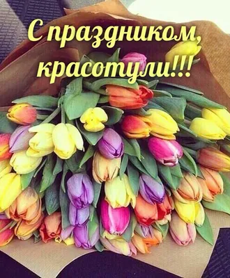 gudinov_m - С Восьмым марта вас, девчонки! Будьте счастливы всегда,  Веселитесь, смейтесь звонко, Не грустите никогда. Вам желаю приключений,  Дружбы, радости в глазах, Жить без слёз и огорчений, Верить в сказку,  чудеса!