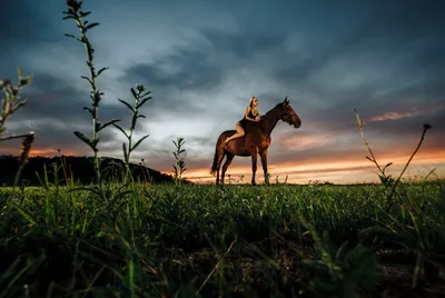 фотосессия с лошадьми, девушка и лошадь, красивые лошади, девушка, лошадь,  Свадебная прическа и макияж Москва