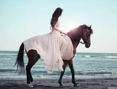 Девушка на лошади фото