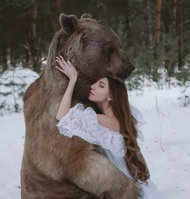 Девушка с медведем картинки - 68 фото