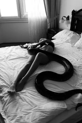 Девушка-змея боди-арт | Body art photography, Body art painting, Body  painting