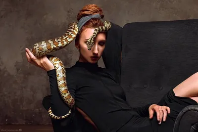 Двухголовую змею-мутанта нашла девушка в Хабаровске - AmurMedia.ru