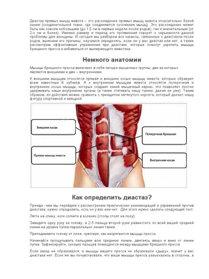 Диастаз прямых мышц живота: причины, симптомы и лечение в статье проктолога  Агапов М. А.