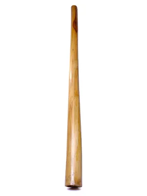 Диджериду из тика духовой музыкальный инструмент длина 1.5м: продажа, цена  в Киеве. Духовые инструменты от \