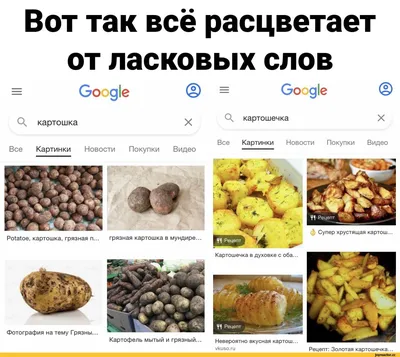 Вот так всё расцветает от ласковых слов Google картошка картошечка Все  Картинки Новости Покупк / Приколы для даунов :: картошка :: разное /  картинки, гифки, прикольные комиксы, интересные статьи по теме.