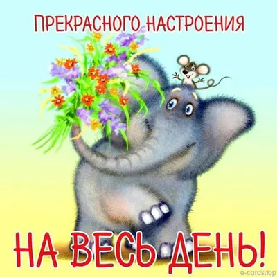 Пин от пользователя You Bonny на доске Greetings | Смешные поздравительные  открытки, Веселые картинки, Позитивные цитаты