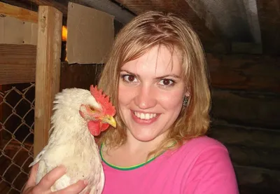 15 интересных фактов о курице