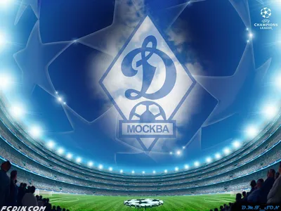 Sports FC Dynamo Moscow HD Wallpaper