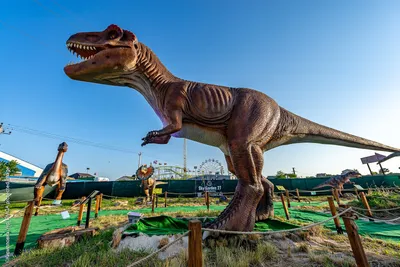 КИРИЛЛОВКА парк динозавров DINOPARK: цены 2023, отзывы