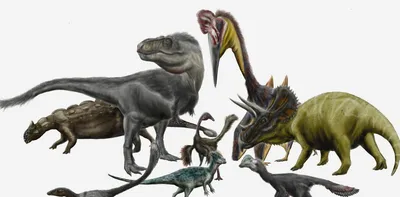 Пять самых маленьких и пять самых больших динозавров — Naked Science