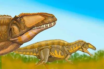 Как эволюция создала динозавров? — Природа Мира