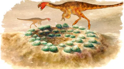 Нейтронная томография показала развитие динозавров внутри окаменевших яиц —  Naked Science