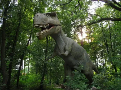 Краков - Парк динозавров | Турнавигатор