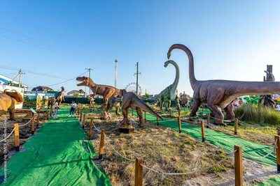 КИРИЛЛОВКА парк динозавров DINOPARK: цены 2023, отзывы