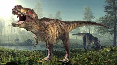 Динозавров фото