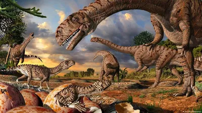 Динозавры фото