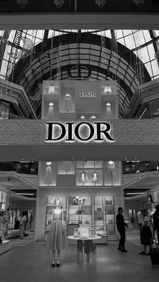 Dior, диор эстетика, магазин диор, fashion, modeling в 2023 г | Эстетика,  Магазины, Путешествия