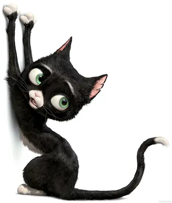 Милый зеленоглазый котёнок точащий когти о стену на аватар — Картинки для  аватарки
