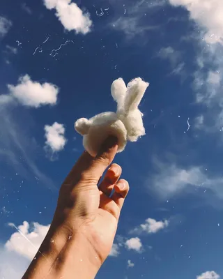 Идеи для Инстаграма фото необычные интересные идеи для фото креатив небо  кролик облака Instagram ideas phot… | Идеи для фото, Фотография для  начинающих, Фотоэффекты