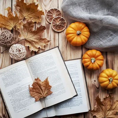 Осень. Идея для фото в инстаграм. Осенний flatlay #осень #фото #instagram |  Autumn photography, Fall pictures, Autumn inspiration