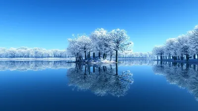 Обои Отражение зимы, картинки - Обои для рабочего стола Отражение зимы фото  из альбома: (природа)