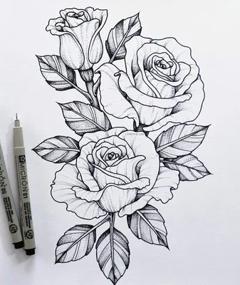 Картинки для срисовки: цветы (цветные рисунки и карандашом)