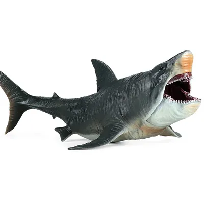 Большая иллюстрация белой акулы 3D Иллюстрация штока - иллюстрации  насчитывающей бело, укусы: 111050859
