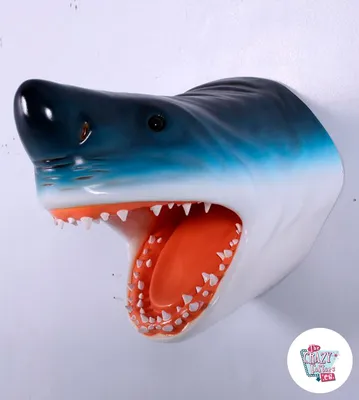 тигровая акула плавает в океане, картинка тигровой акулы, рыбы, океан фон  картинки и Фото для бесплатной загрузки