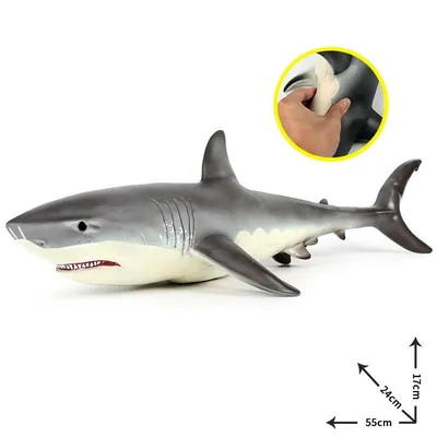 Анализ зубов белой акулы помог найти ее предка — маленького хищника с  плоским телом, жившего на дне