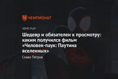Фильм «Человек-паук: Паутина вселенных» (2023): где смотреть онлайн в  России, обзор фильма, прекрасное кино - Чемпионат