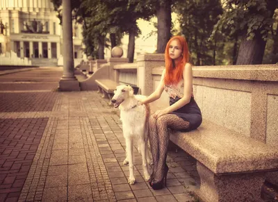 Обои на рабочий стол Девушка с собакой породы борзая сидит на каменной  скамейке. Фотограф Дмитрий Бутвиловский, обои для рабочего стола, скачать  обои, обои бесплатно