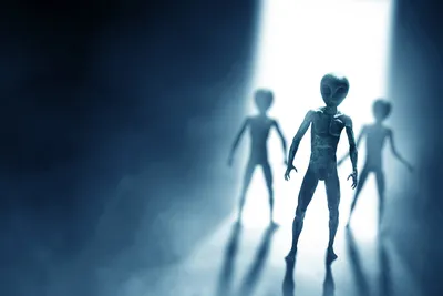 Инопланетяне здесь»: любитель уфологии из Стэнфорда рассказал о пришельцах  на Земле - Газета.Ru
