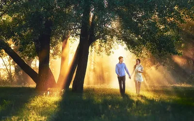 Обои на рабочий стол Мужчина и женщина, идущие по лесной роще, освещенной  яркими лучами полуденного солнца, проникшими через густую крону деревьев,  взявшись за руки и глядя друг на друга влюбленными глазами, автор