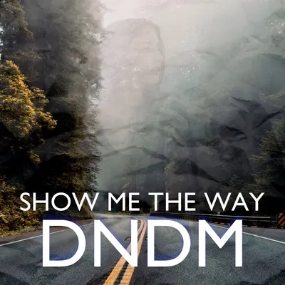 Show Me The Way (Original Mix) by DNDM on Beatport