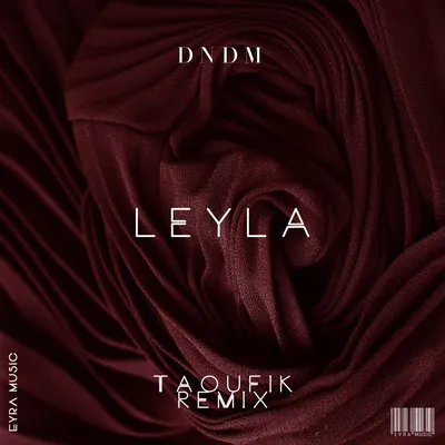 Leyla - Single by DNDM on Apple Music