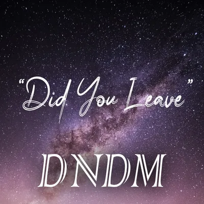 Did You Leave (Original Mix) by DNDM on Beatport