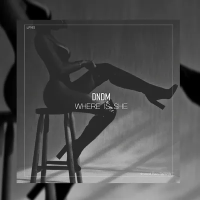 Where Is She (Original Mix) by DNDM on Beatport