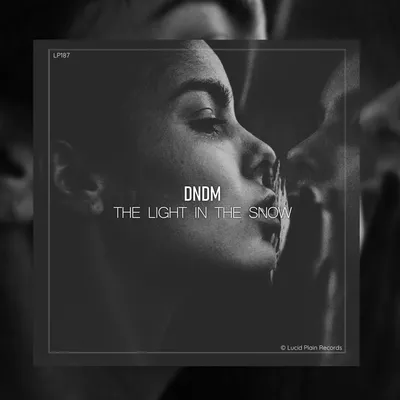 The Light In The Snow (Original Mix) by DNDM on Beatport