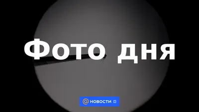 https://news.mail.ru/stories/4-foto-dnya/