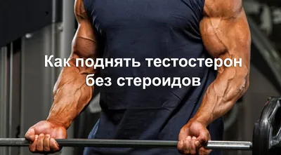 Вечный курс стероидов | Sport-nutrition.in.ua