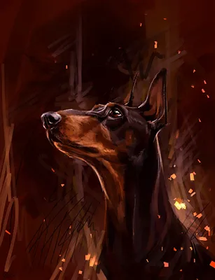 Картинки Доберман Собаки головы Животные Рисованные